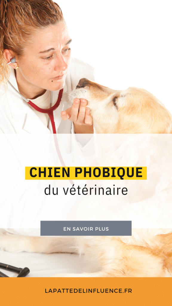Phobie du vétérinaire