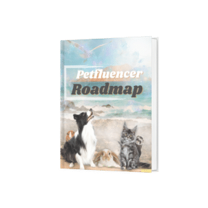 Petfluencer Roadmap