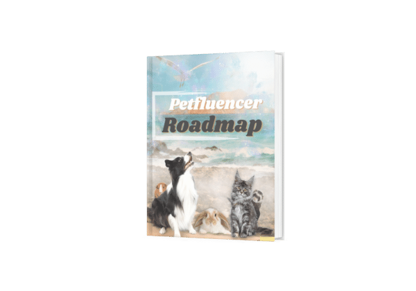 Petfluencer Roadmap